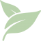 leaves leaves